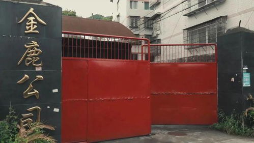 溫州一工廠涉嫌生產偽劣酒品被查封，負責人被控制